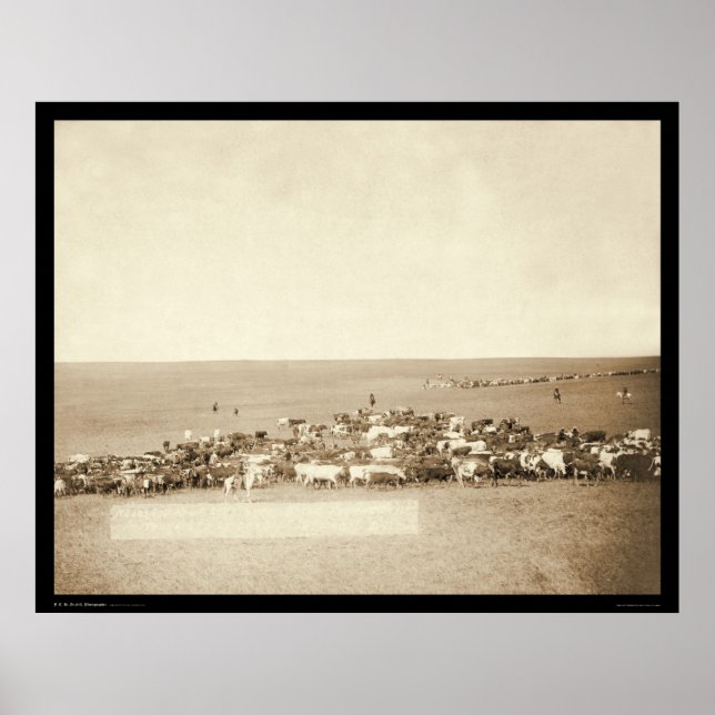 Póster Belle Fouche Cowboy Round-Up SD 1887 (Frente)