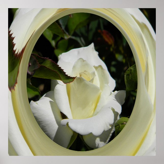 Póster Belleza...... (Frente)