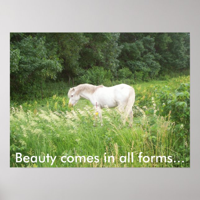 Póster Belleza (Frente)