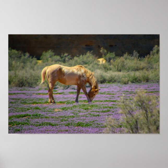 Póster Belleza (Frente)