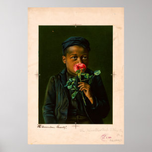 Póster Belleza americana (1895)