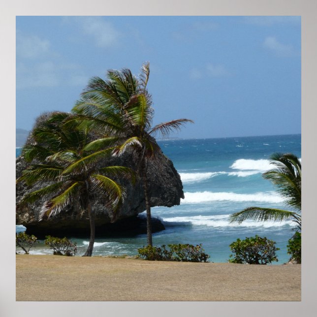 Póster Belleza de Barbados (Frente)