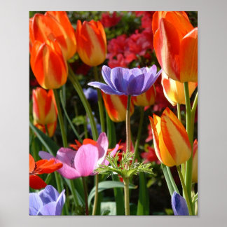 Póster Belleza de jardín