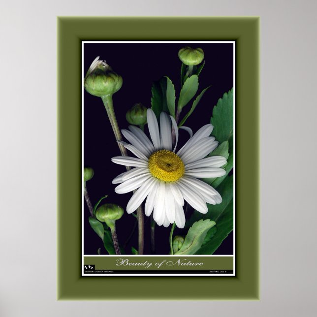 Póster Belleza de la naturaleza r/p12 (Frente)