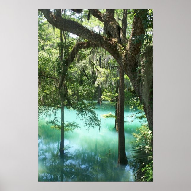 Póster Belleza de Radium Springs (Frente)