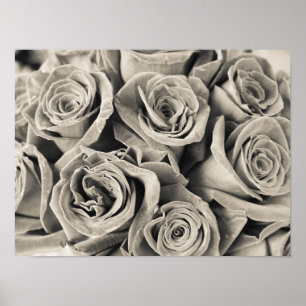 Póster Belleza de Terciopelo Vintage