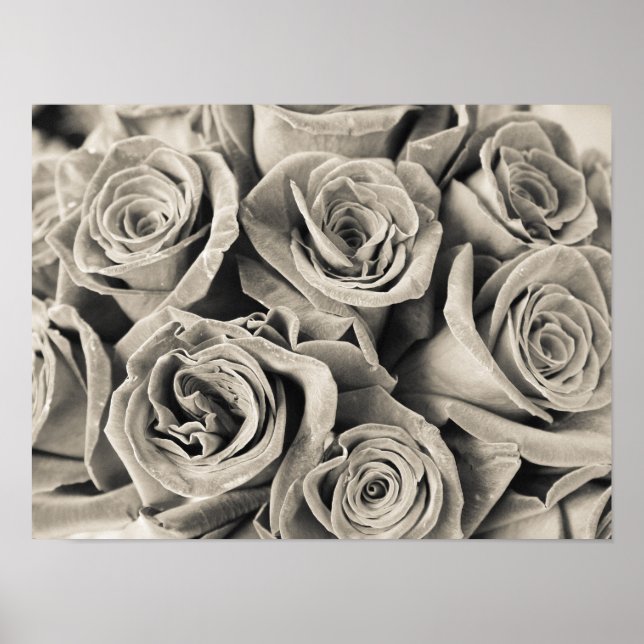 Póster Belleza de terciopelo vintage (Frente)