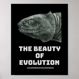 Póster Belleza de tiburón en evolución