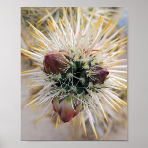 Póster Belleza del desierto