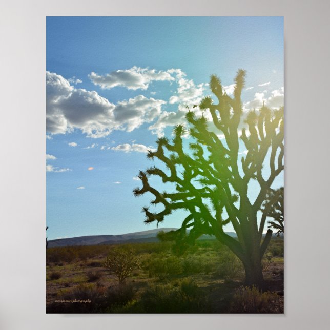 Póster Belleza del desierto (Frente)