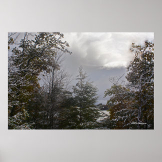 Póster Belleza del Día Gris