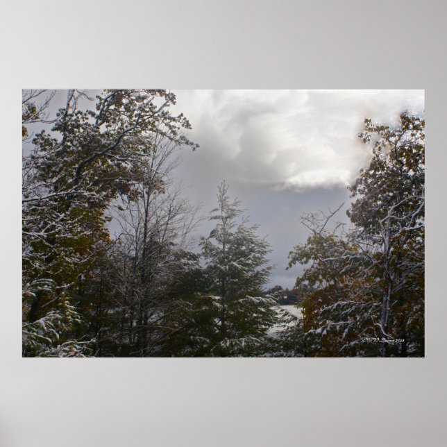 Póster Belleza del Día Gris (Frente)