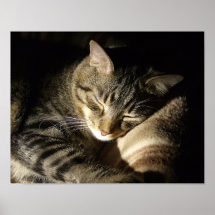 Póster Belleza durmiente