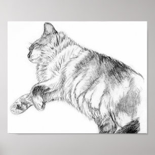 Póster Belleza durmiente