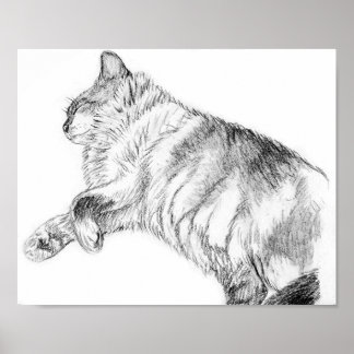 Póster Belleza durmiente