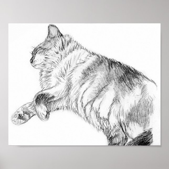 Póster Belleza durmiente (Frente)