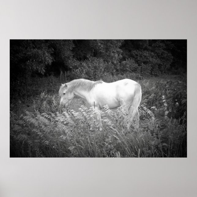 Póster Belleza en blanco y negro (Frente)