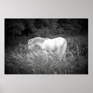 Póster Belleza en negro y blanco