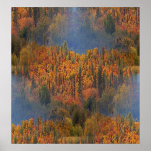 Póster Belleza en otoño......