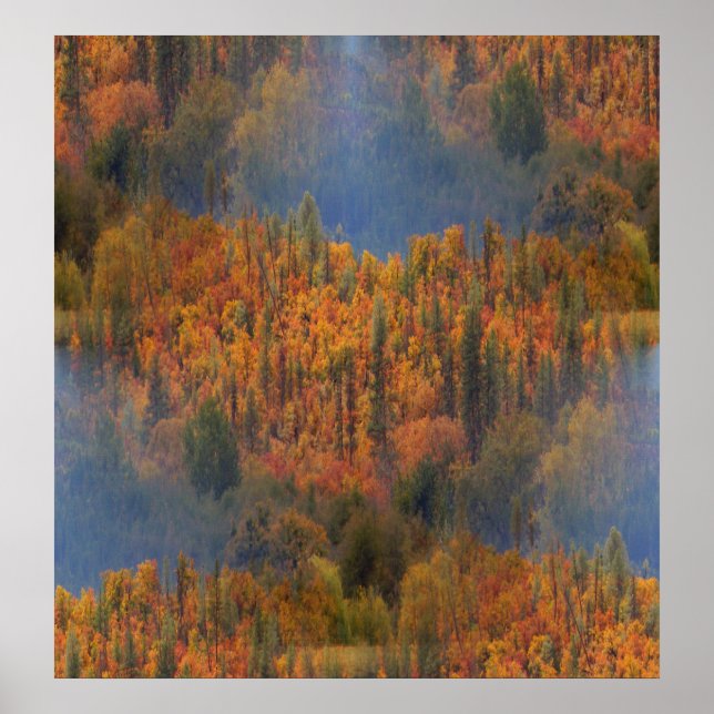 Póster Belleza en otoño...... (Frente)