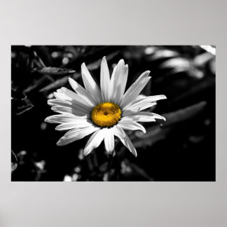 Póster Belleza en verano