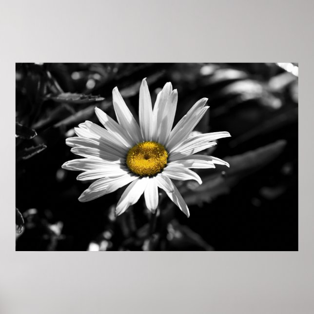 Póster Belleza en verano (Frente)