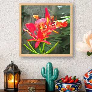 Póster Belleza Flamígera de Vallarta Floral Tropical 1583