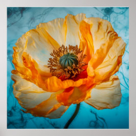 Póster Belleza naranja