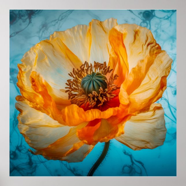 Póster Belleza naranja (Frente)