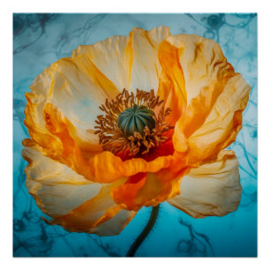 Póster Belleza naranja