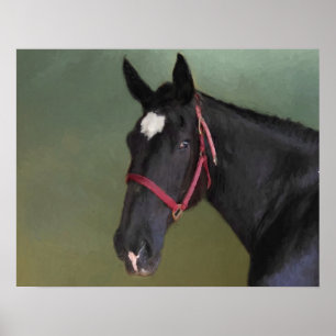 Póster Belleza negra