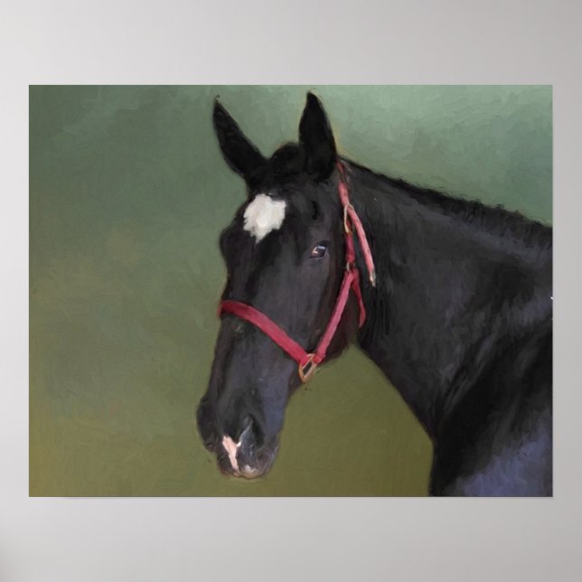 Póster Belleza negra (Frente)