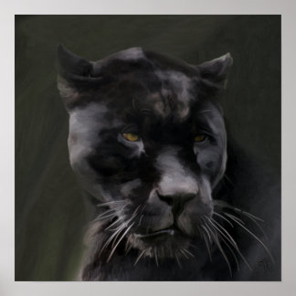 Póster Belleza negra