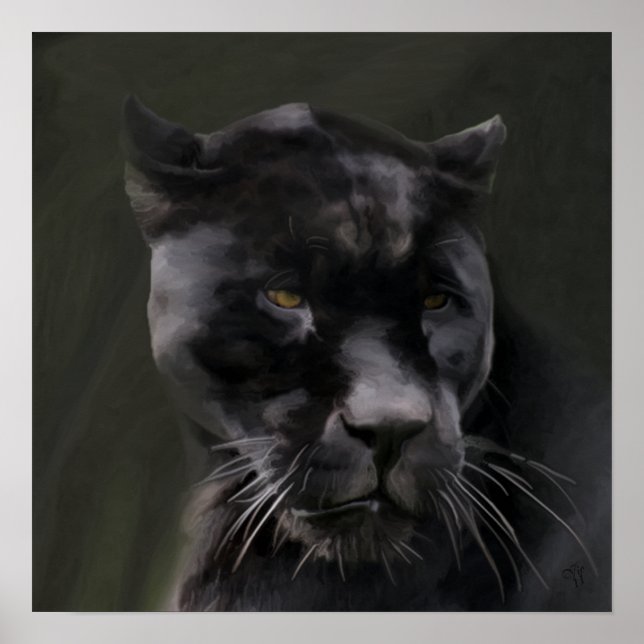 Póster Belleza negra (Frente)