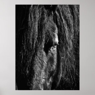 Póster Belleza negra - Poster