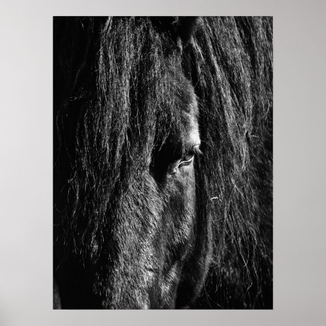 Póster Belleza negra - Poster (Frente)