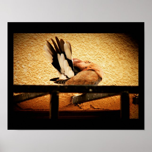 Póster Belleza oculta (Frente)