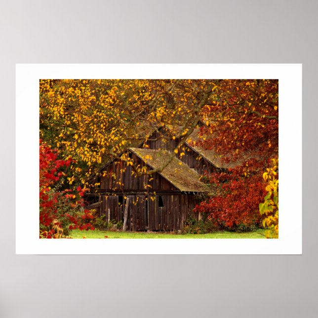 Póster Belleza oculta. (Frente)