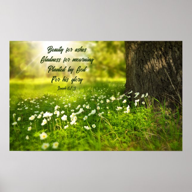 Póster Belleza por cenizas (Frente)