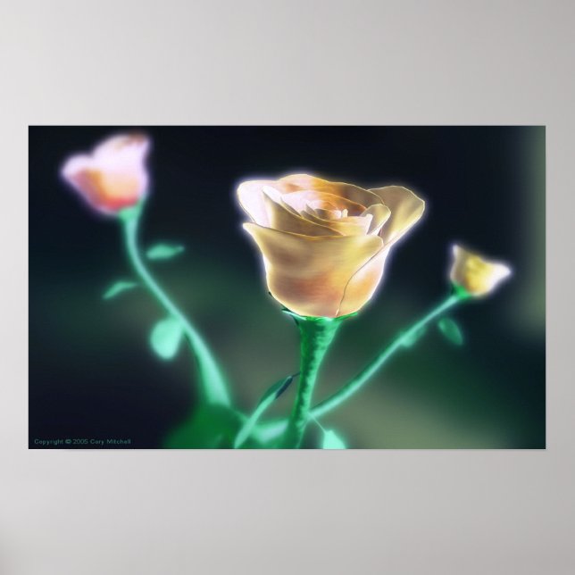 Póster Belleza sutil (Frente)