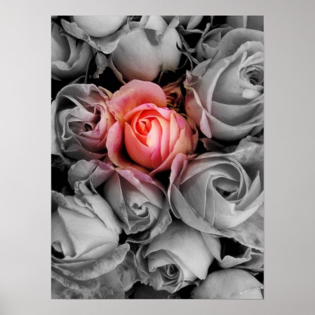 Póster Belleza única (Frente)