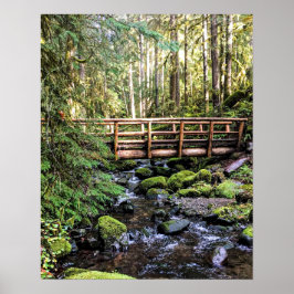 Póster Belleza Wanderlust // Aguas Pacíficas