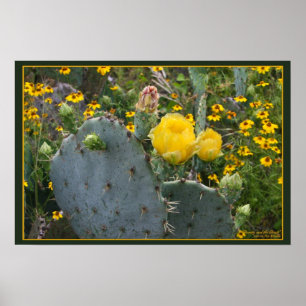 Póster Belleza y la bestia