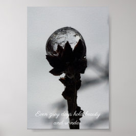 Póster Belleza y maravilla gotas de lluvia heladas