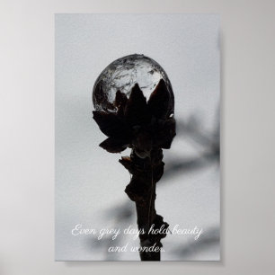 Póster Belleza y maravilla gotas de lluvia heladas