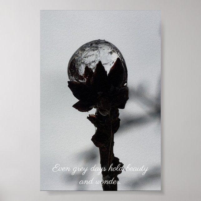 Póster Belleza y maravilla gotas de lluvia heladas (Frente)