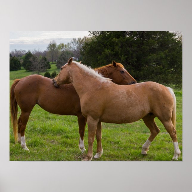 Póster Bellezas de baño (Frente)