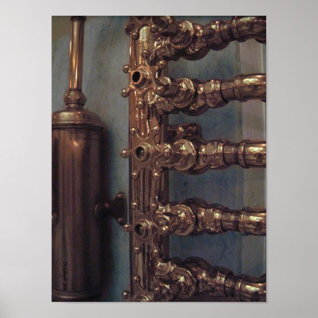 Póster Bellezas de cobre (Frente)