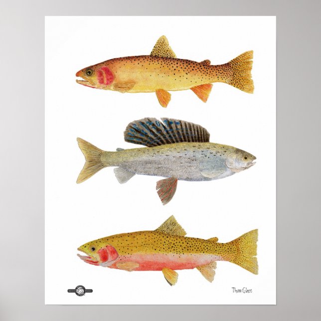 Póster Bellezas de Montana (Frente)