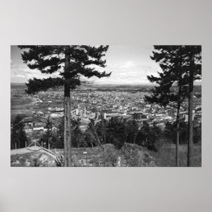 Póster Bellingham, WA Town View from Sehome Hill
